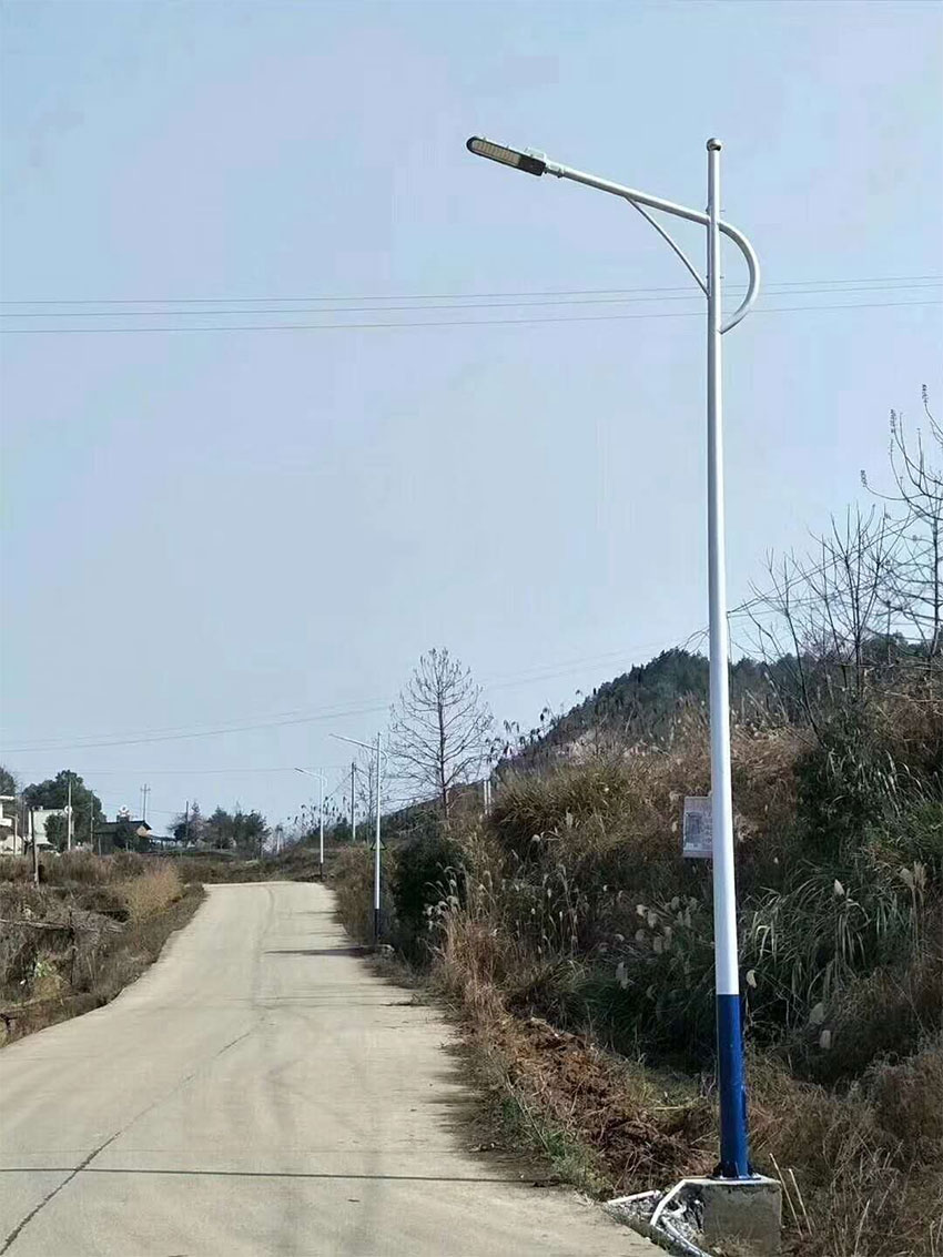 市电路灯LRSD005（路之光）