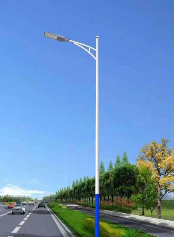 市电路灯LRSD006（路之光）
